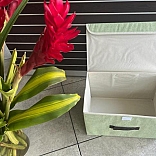Caja Plegable con pega pega